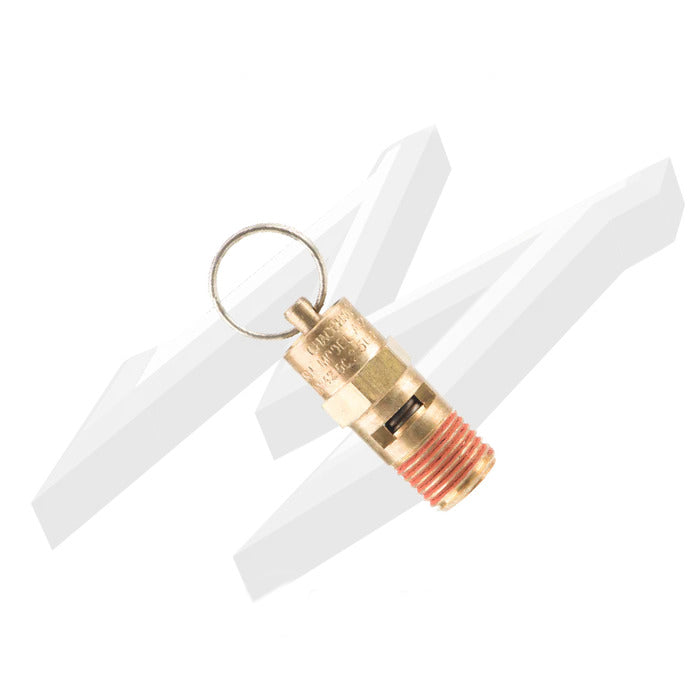 Safety Valve 1/4 NPT